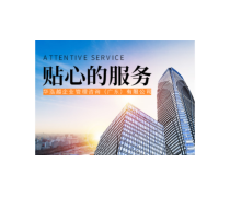 構(gòu)建高效產(chǎn)品庫(kù) 企業(yè)管理咨詢的核心策略與實(shí)踐